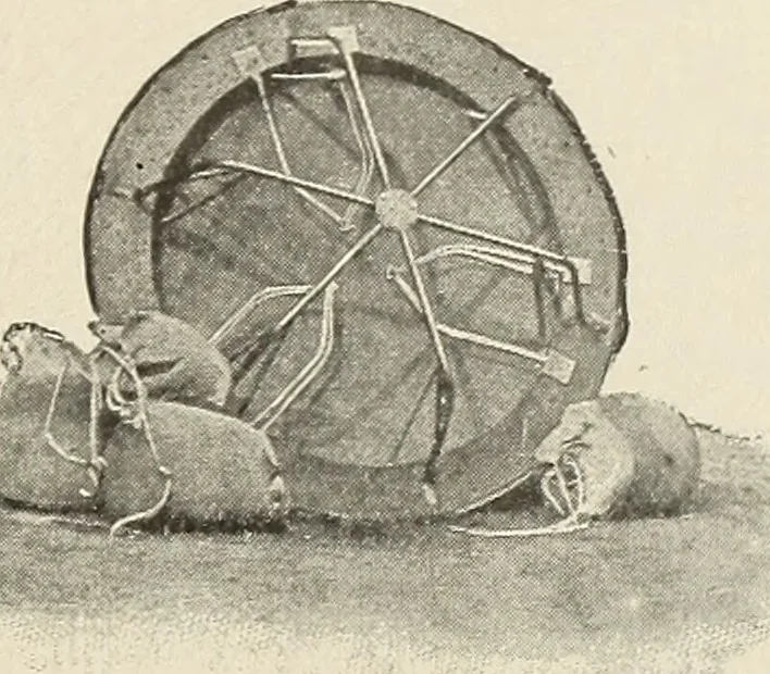 An illustration from Airships past and present, together with chapters on the use of balloons in connection with meteorology, photography and the carrier pigeon, 1908, leaf 204