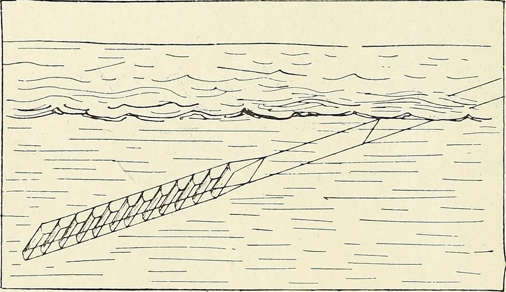 An illustration from Airships past and present, together with chapters on the use of balloons in connection with meteorology, photography and the carrier pigeon, 1908, leaf 235