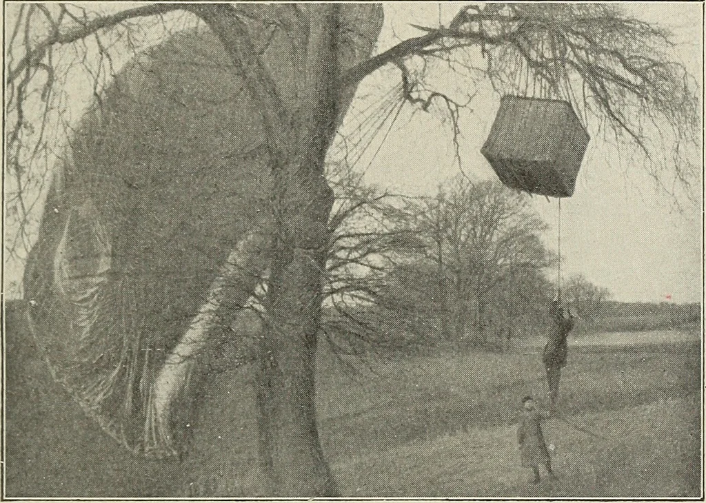 An illustration from Airships past and present, together with chapters on the use of balloons in connection with meteorology, photography and the carrier pigeon, 1908, leaf 252