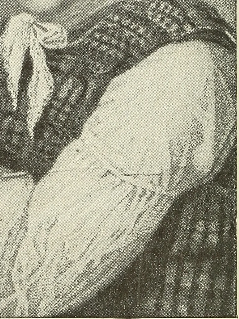 An illustration from Airships past and present, together with chapters on the use of balloons in connection with meteorology, photography and the carrier pigeon, 1908, leaf 261