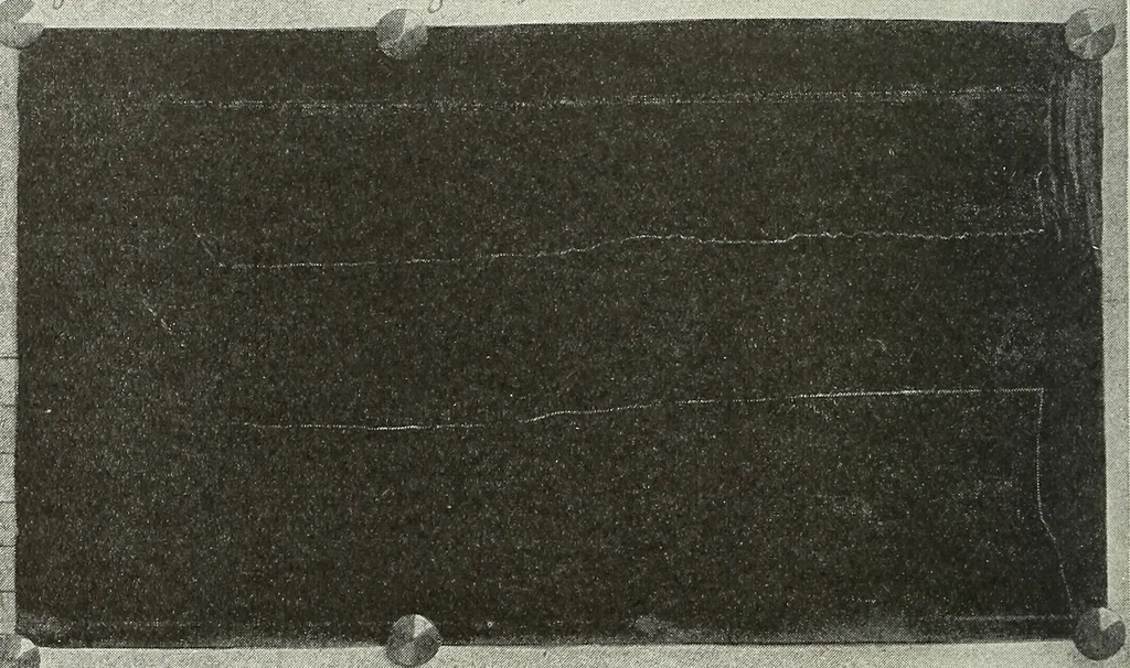 An illustration from Airships past and present, together with chapters on the use of balloons in connection with meteorology, photography and the carrier pigeon, 1908, leaf 283