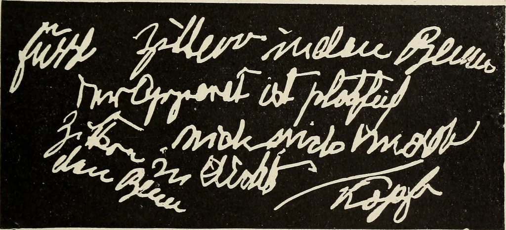 An illustration from Airships past and present, together with chapters on the use of balloons in connection with meteorology, photography and the carrier pigeon, 1908, leaf 296