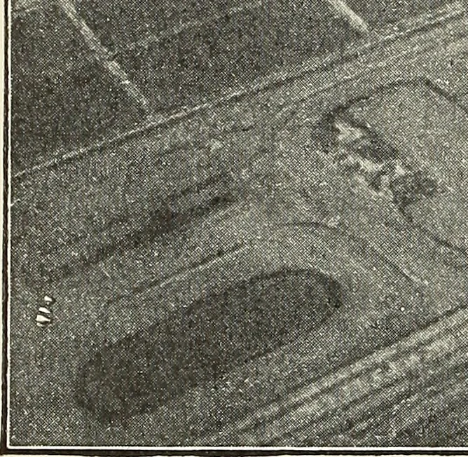 An illustration from Airships past and present, together with chapters on the use of balloons in connection with meteorology, photography and the carrier pigeon, 1908, leaf 315