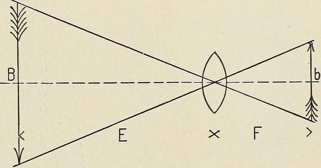 An illustration from Airships past and present, together with chapters on the use of balloons in connection with meteorology, photography and the carrier pigeon, 1908, leaf 342