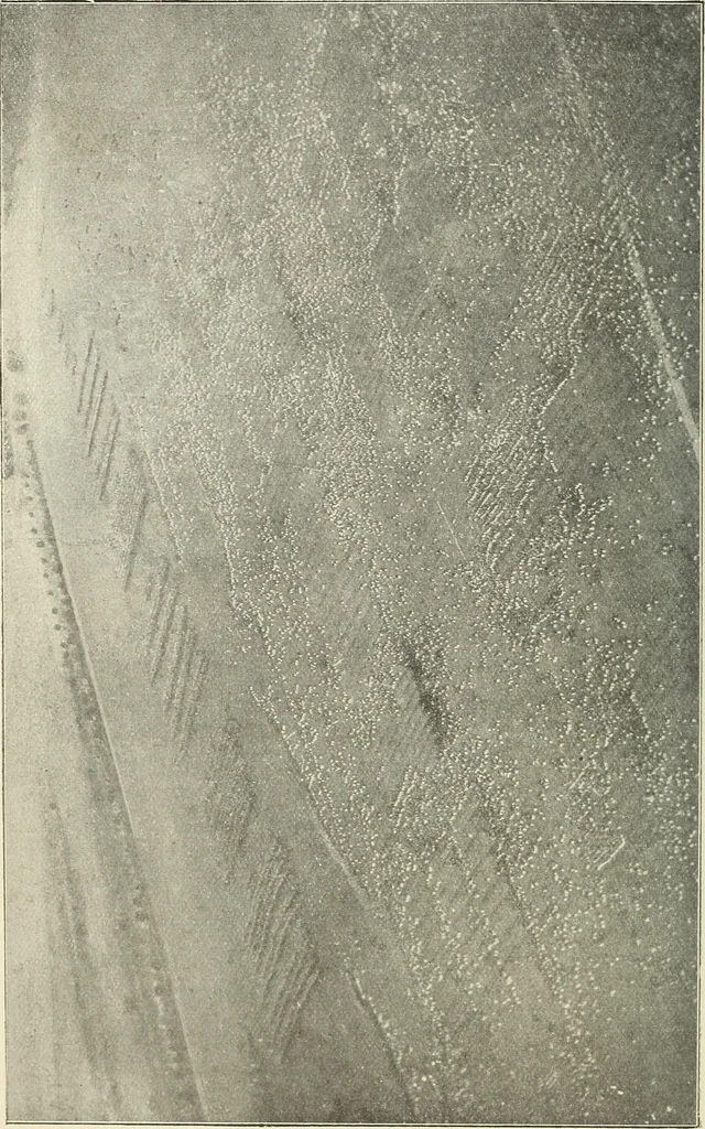 An illustration from Airships past and present, together with chapters on the use of balloons in connection with meteorology, photography and the carrier pigeon, 1908, leaf 57
