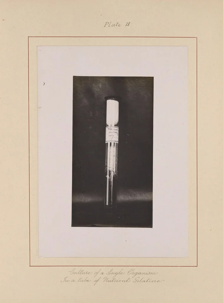 An illustration from The air we breathe a popular account of air, its composition, functions and impurities, [18--?], leaf 301