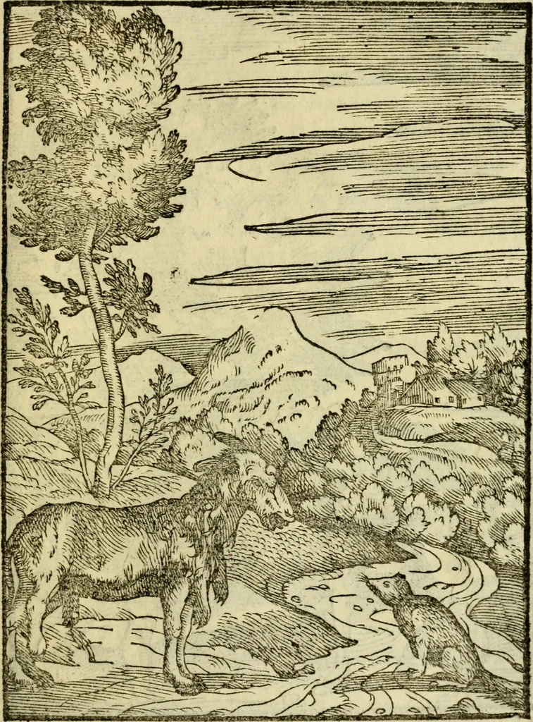 An illustration from Aisopou mythoi, 1644, leaf 120
