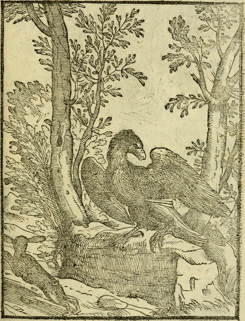 An illustration from Aisopou mythoi, 1644, leaf 138