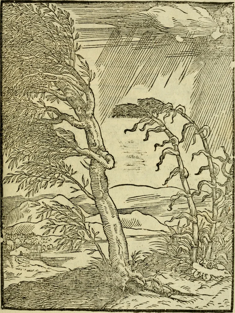 An illustration from Aisopou mythoi, 1644, leaf 144