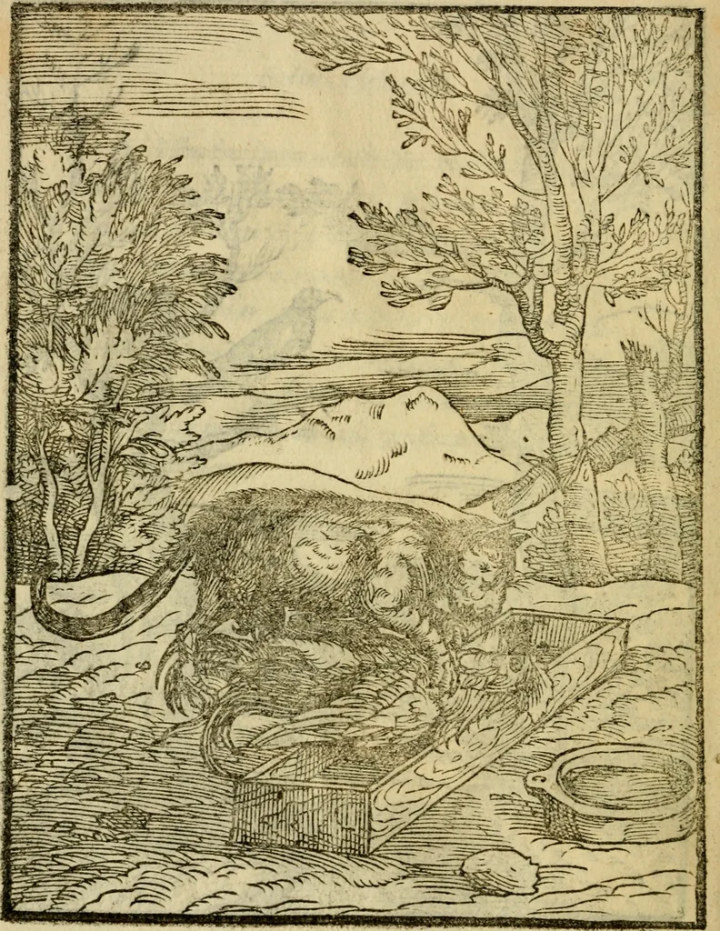 An illustration from Aisopou mythoi, 1644, leaf 15