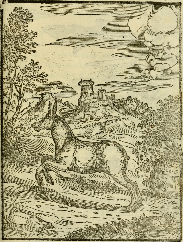An illustration from Aisopou mythoi, 1644, leaf 158