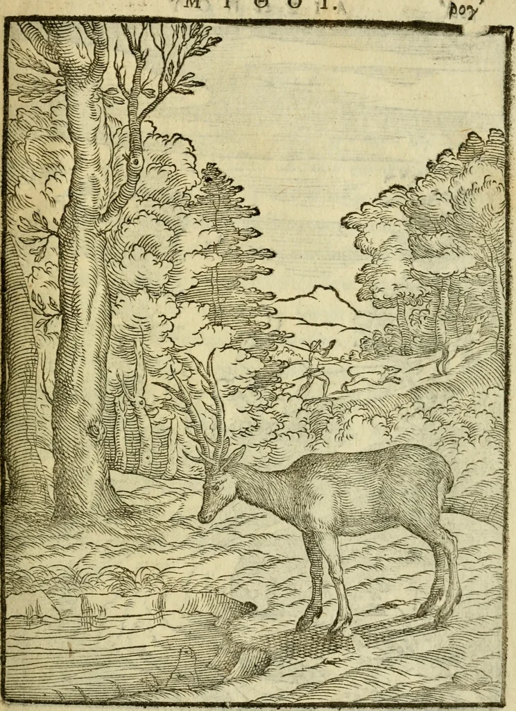 An illustration from Aisopou mythoi, 1644, leaf 174