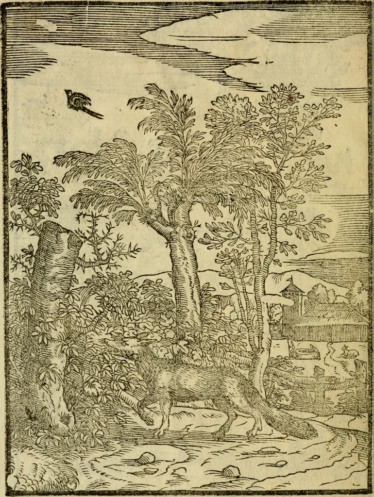 An illustration from Aisopou mythoi, 1644, leaf 19