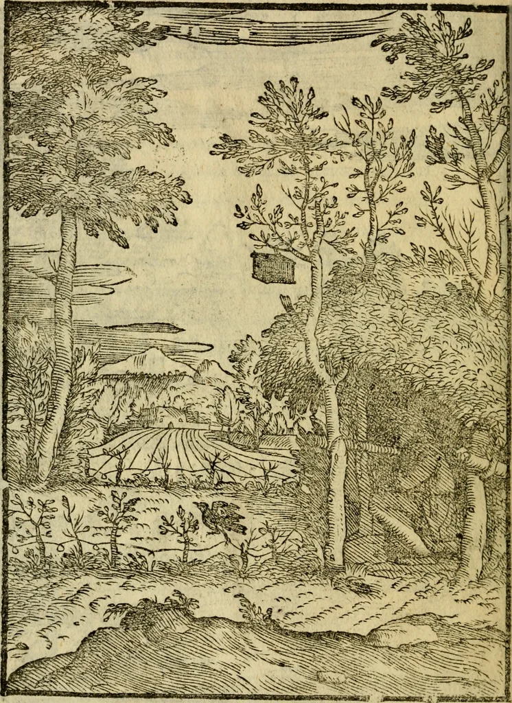 An illustration from Aisopou mythoi, 1644, leaf 23
