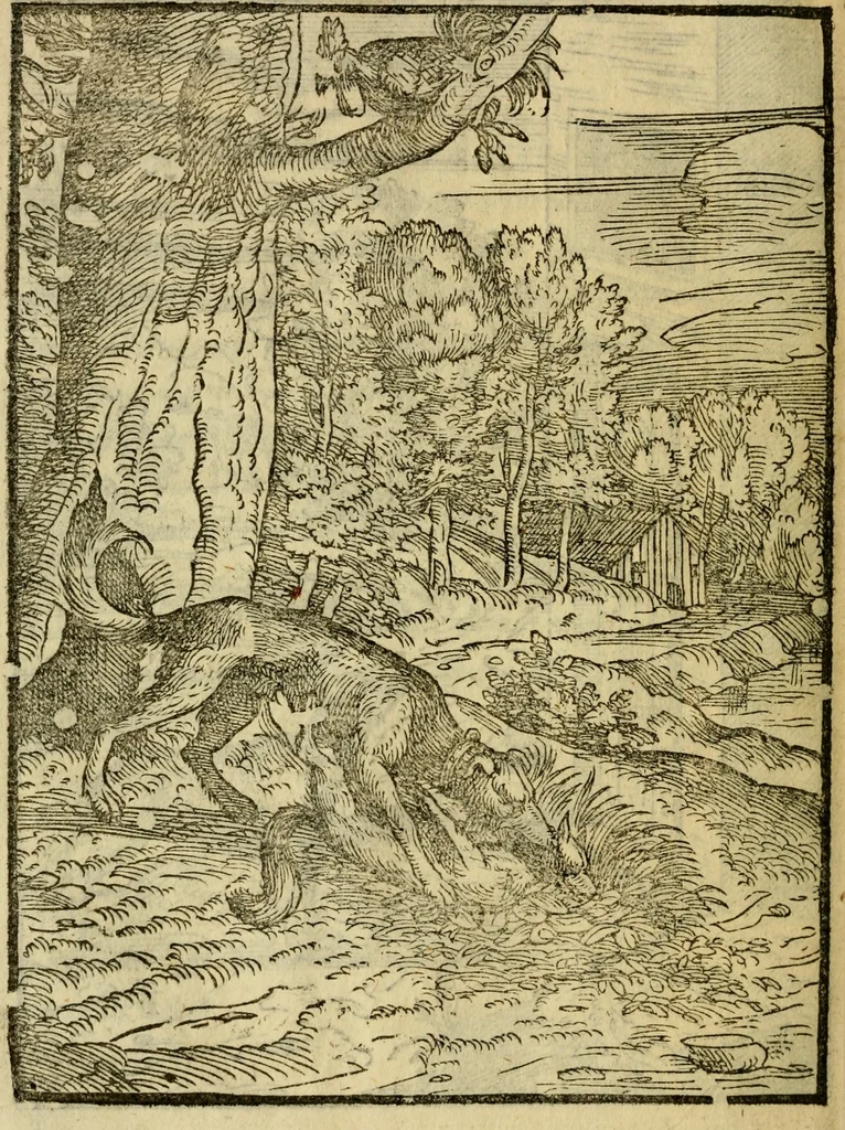 An illustration from Aisopou mythoi, 1644, leaf 49