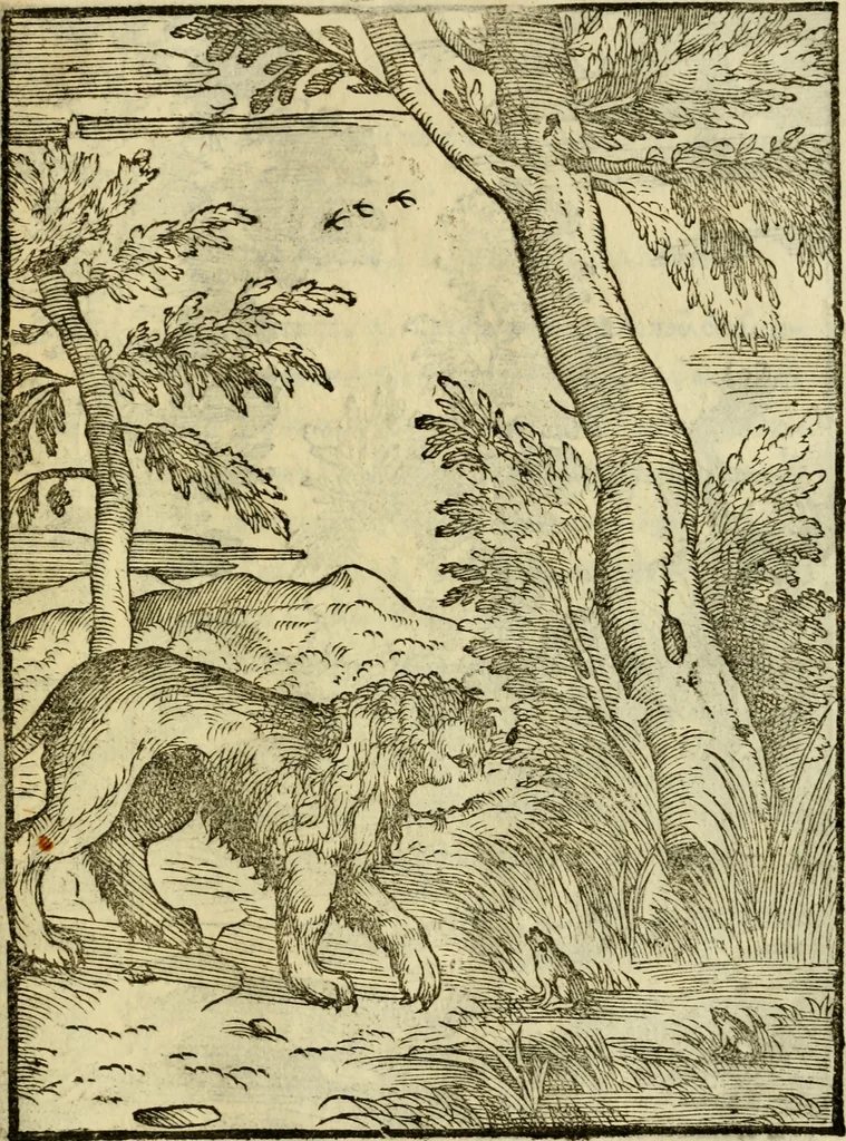An illustration from Aisopou mythoi, 1644, leaf 52