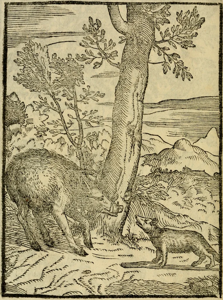 An illustration from Aisopou mythoi, 1644, leaf 65