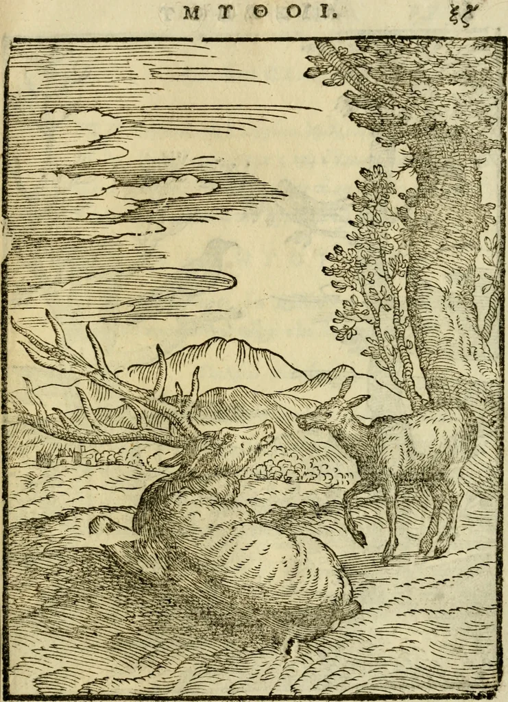 An illustration from Aisopou mythoi, 1644, leaf 68