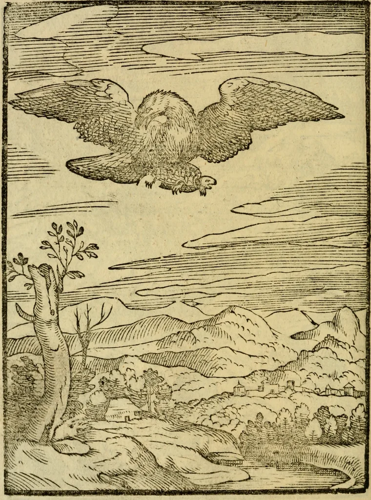 An illustration from Aisopou mythoi, 1644, leaf 75