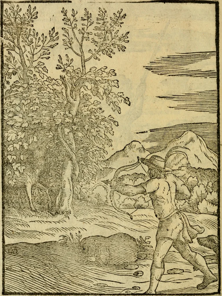 An illustration from Aisopou mythoi, 1644, leaf 81
