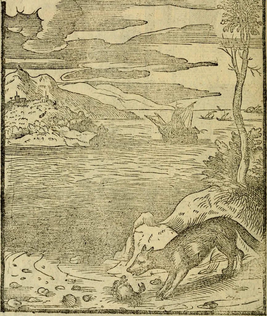 An illustration from Aisopou mythoi, 1644, leaf 93