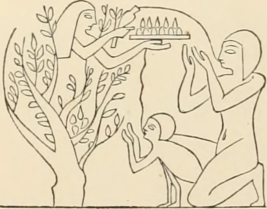 An illustration from The alabaster sarcophagus of Oimeneptah I., king of Egypt : now in Sir John Soane's Museum, Lincoln's Inn Fields, 1864, leaf 6