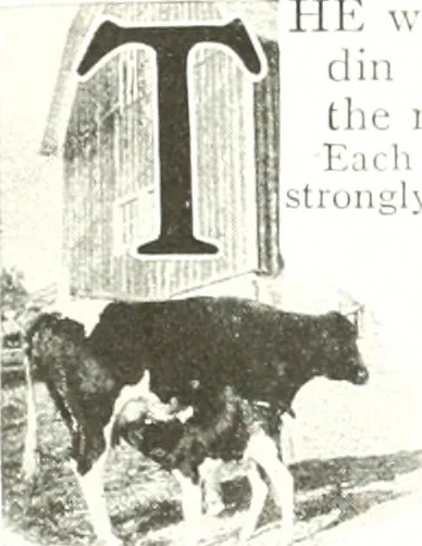 An illustration from Aladdin homes : "built in a day" Catalog no. 29, 1917, leaf 111