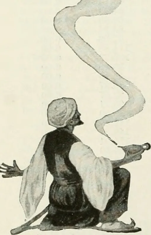 An illustration from Aladdin homes : "built in a day" Catalog no. 29, 1917, leaf 113