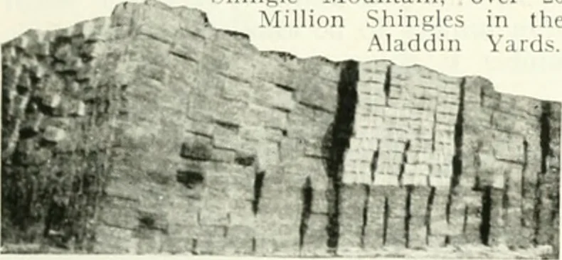 An illustration from Aladdin homes : "built in a day" Catalog no. 29, 1917, leaf 14