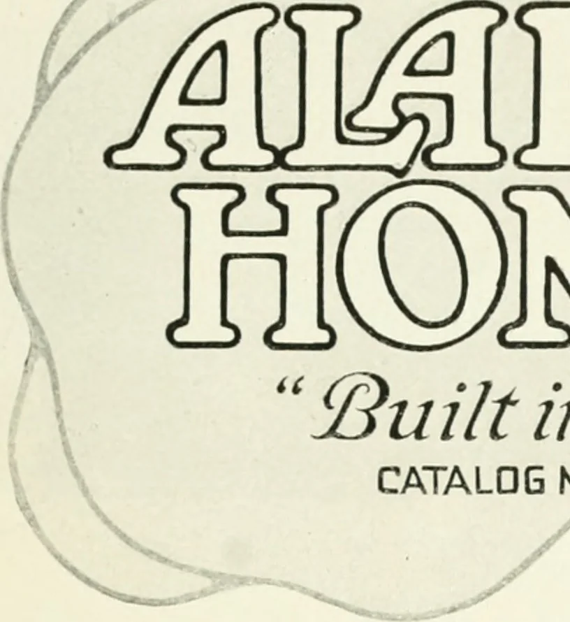 An illustration from Aladdin homes : "built in a day" Catalog no. 29, 1917, leaf 6