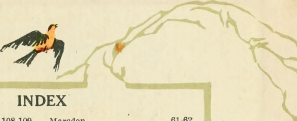 An illustration from Aladdin homes : "built in a day"., 1920, leaf 118