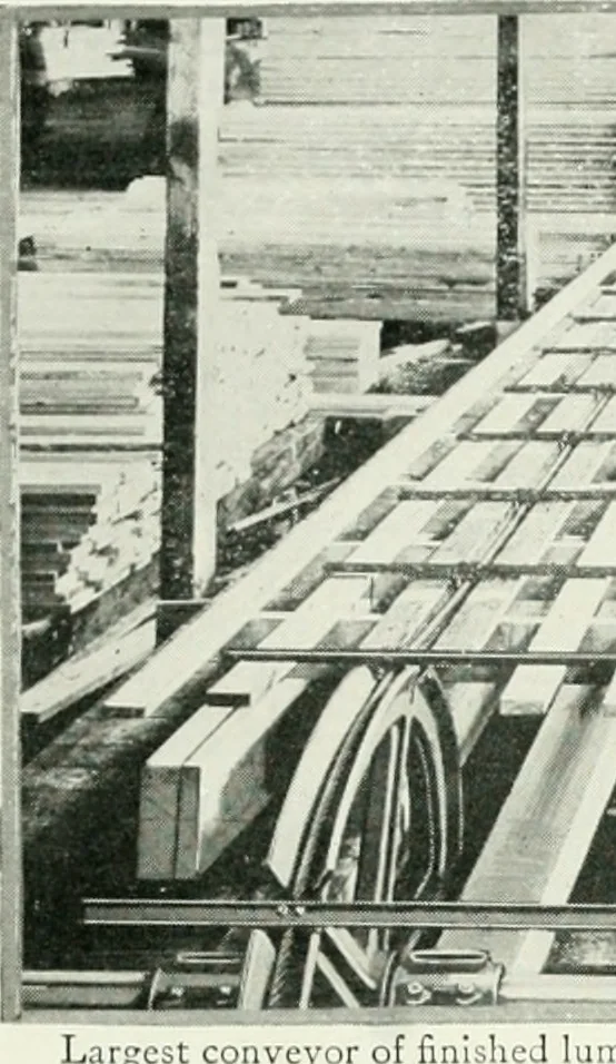 An illustration from Aladdin homes : "built in a day"., 1920, leaf 16