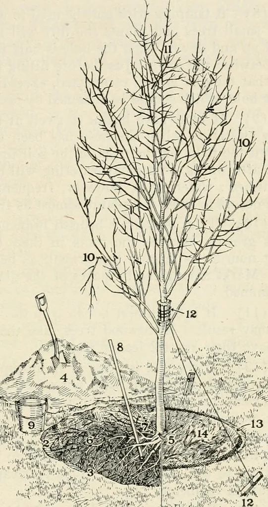 An illustration from Aladdin Manual of construction : containing practical methods covering every step necessary in the erection of Aladdin houses, barns, garages, etc. / prepared and illustrated by David S. Betcone, 1918, leaf 178
