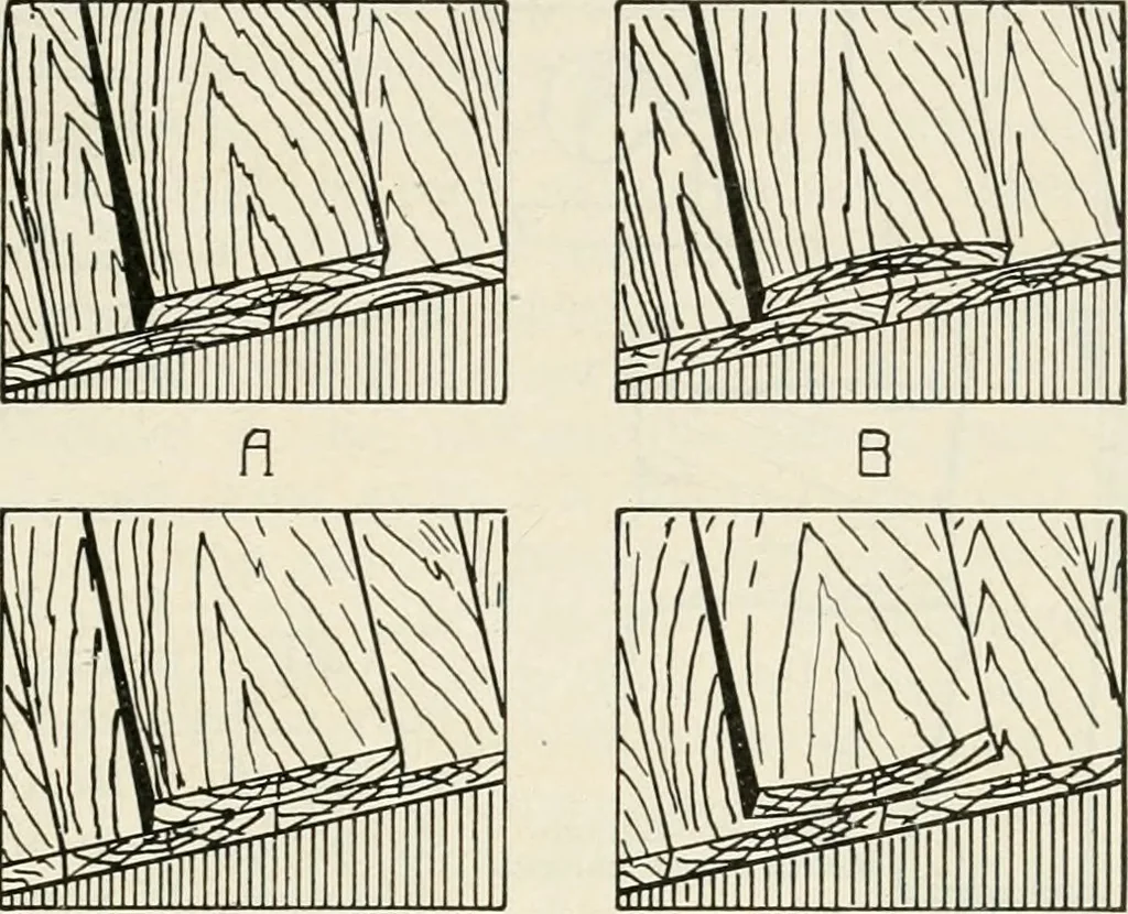 An illustration from Aladdin Manual of construction : containing practical methods covering every step necessary in the erection of Aladdin houses, barns, garages, etc. / prepared and illustrated by David S. Betcone, 1918, leaf 246