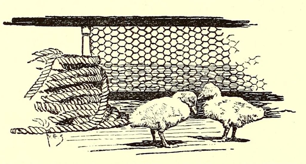 An illustration from Alaska .., 1901, leaf 308