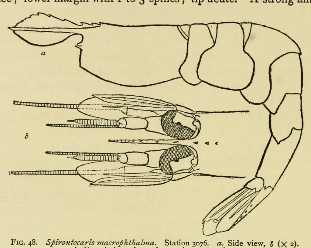 An illustration from Alaska .., 1901, leaf 120