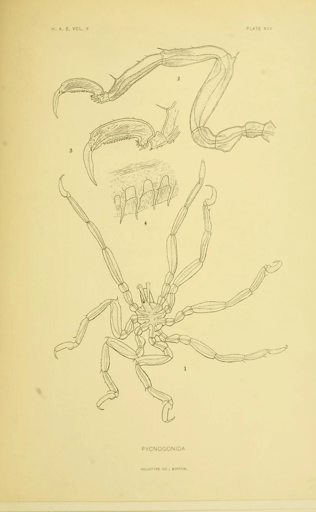 An illustration from Alaska .., 1901, leaf 391