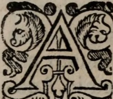 An illustration from Alberici Gentilis De legationibus, libri tres, 1585, leaf 102