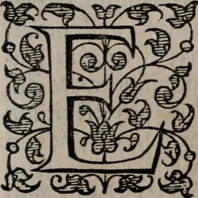 An illustration from Alberici Gentilis De legationibus, libri tres, 1585, leaf 104