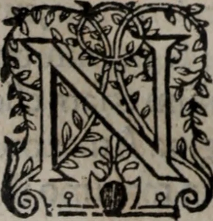 An illustration from Alberici Gentilis De legationibus, libri tres, 1585, leaf 109