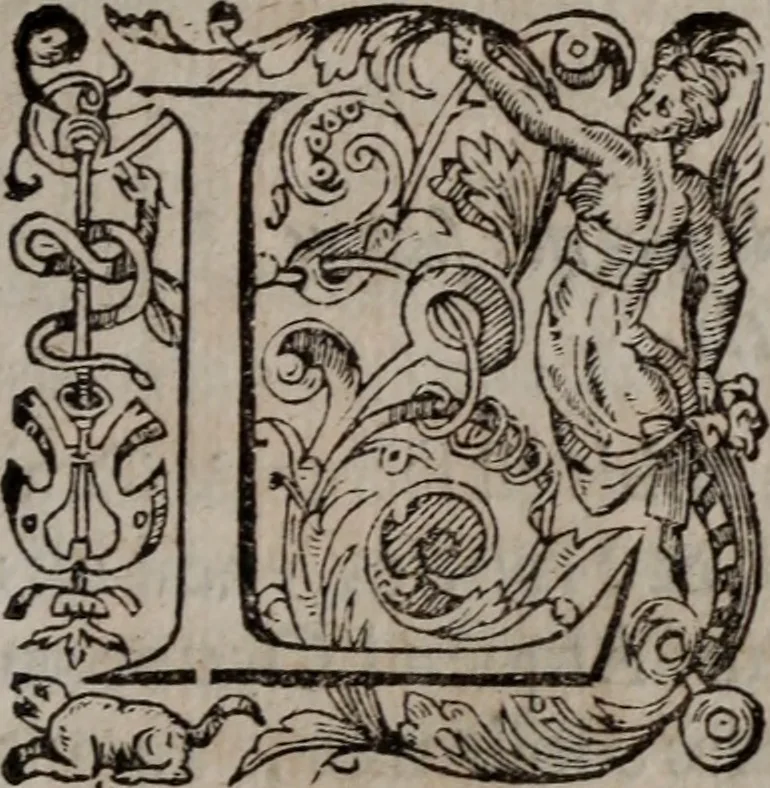 An illustration from Alberici Gentilis De legationibus, libri tres, 1585, leaf 12