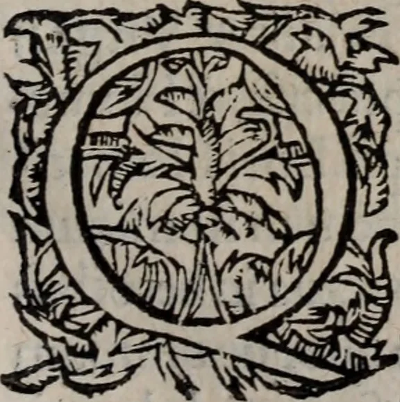 An illustration from Alberici Gentilis De legationibus, libri tres, 1585, leaf 136