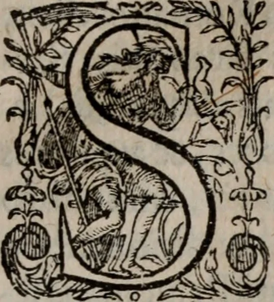 An illustration from Alberici Gentilis De legationibus, libri tres, 1585, leaf 142