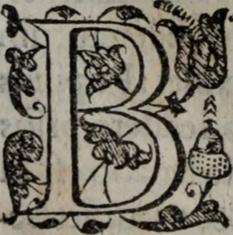 An illustration from Alberici Gentilis De legationibus, libri tres, 1585, leaf 21