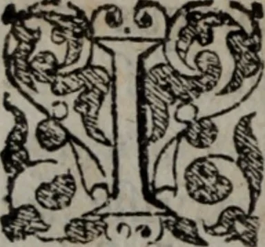 An illustration from Alberici Gentilis De legationibus, libri tres, 1585, leaf 23