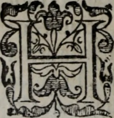 An illustration from Alberici Gentilis De legationibus, libri tres, 1585, leaf 41