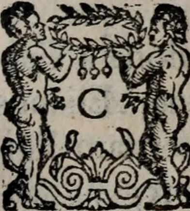An illustration from Alberici Gentilis De legationibus, libri tres, 1585, leaf 46