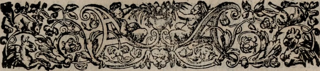 An illustration from Alberici Gentilis De legationibus, libri tres, 1585, leaf 50