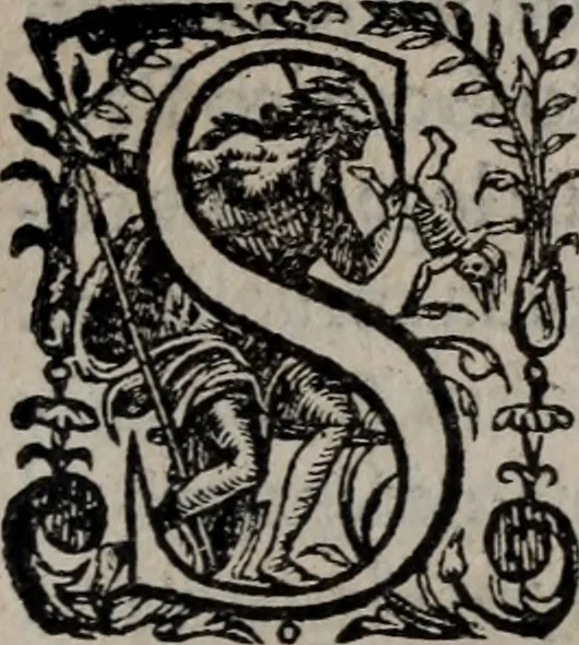 An illustration from Alberici Gentilis De legationibus, libri tres, 1585, leaf 50