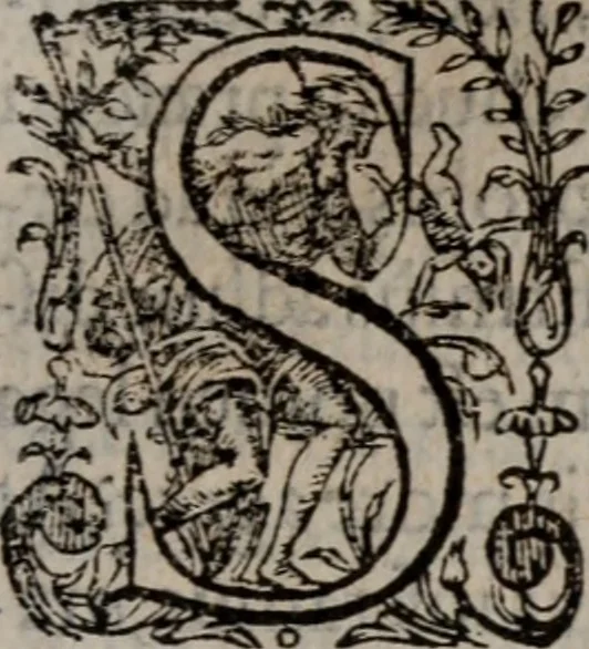 An illustration from Alberici Gentilis De legationibus, libri tres, 1585, leaf 56